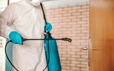 COMO PREPARAR SUA CASA PARA UMA DEDETIZAÇÃO