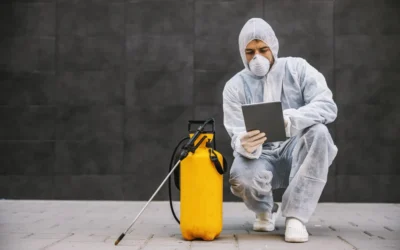 Dedetização ou Desinsetização? O que é e como fazer?