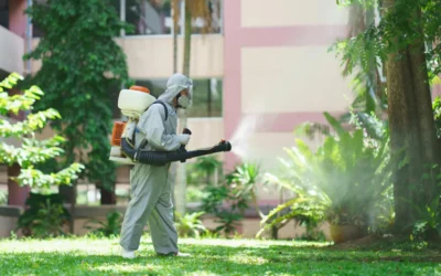 Descubra como evitar e combater os insetos no verão