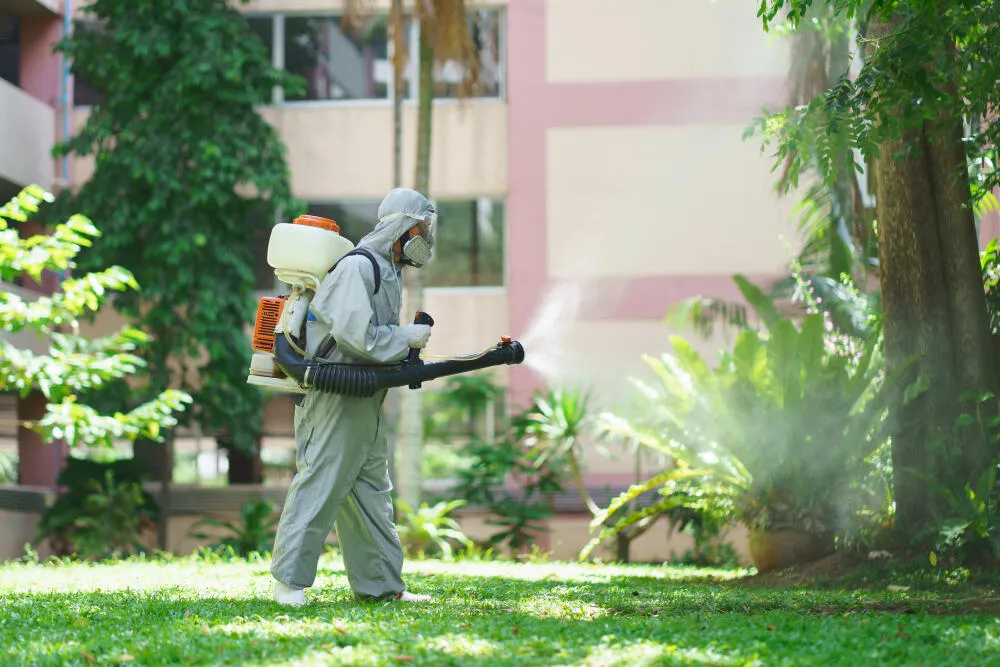Descubra como evitar e combater os insetos no verão Descubra como evitar e combater os insetos no verão