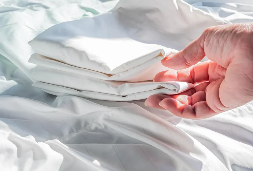 Saiba como evitar e acabar com os ácaros na sua casa