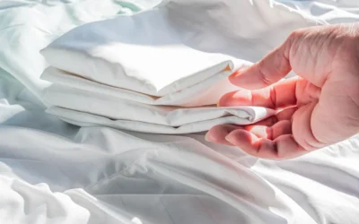 Saiba como evitar e acabar com os ácaros na sua casa