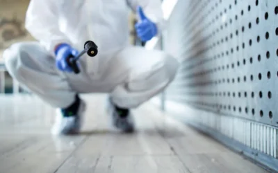 Preço de Dedetização BH