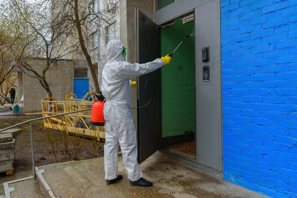 Dedetizadora Conjunto Taquaril