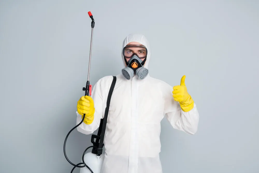 Dedetizadora Coração Eucarístico