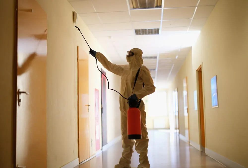 Dedetizadora Colégio Batista (ZL)