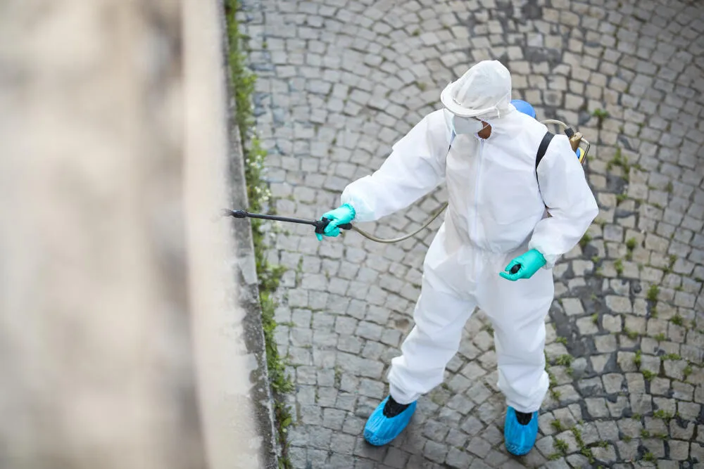 Dedetizadora Jardim São José Dedetizadora Jardim São José