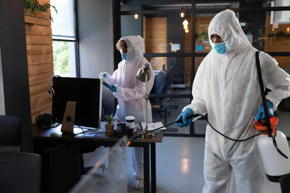 Dedetizadora São Gabriel