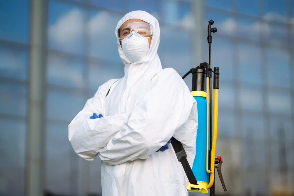 Dedetizadora Maria Helena