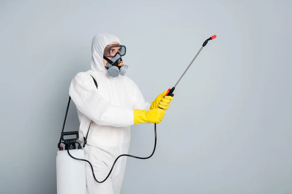 Dedetizadora Nova Granada (ZS)