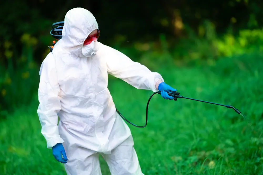 Dedetizadora Mantiqueira Dedetizadora Mantiqueira