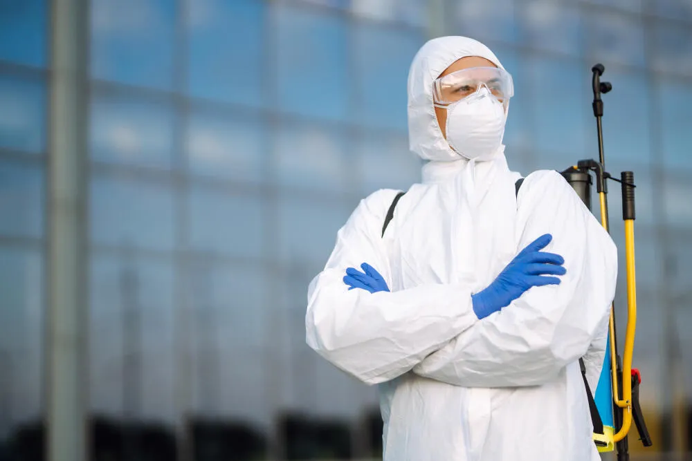 Dedetizadora Palmeiras (ZS)