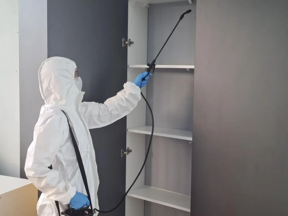 Dedetizadora Piratininga Dedetizadora Piratininga