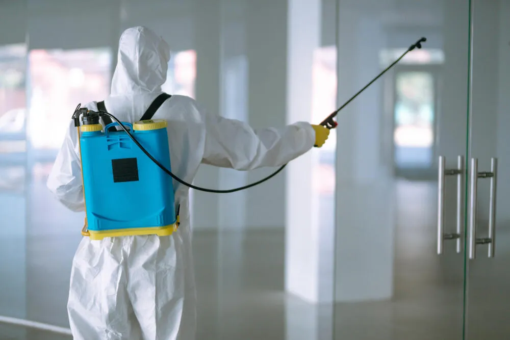 Dedetizadora Vila CEMIG Dedetizadora Vila CEMIG