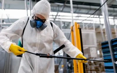 Importância da dedetização periódica em estabelecimentos comerciais