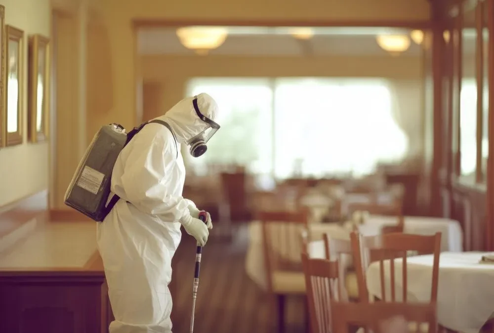 Controle de Pragas em Restaurantes e Bares: o que você precisa saber