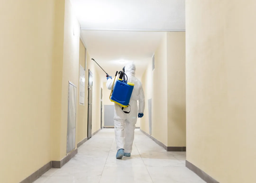 5 dicas para escolher a empresa de dedetização certa 5 dicas para escolher a empresa de dedetização certa