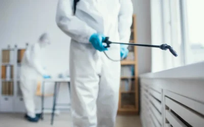 Dedetização BH: Como Manter os Moradores Felizes durante a Operação de controle de pragas