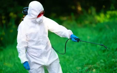 Dedetização BH: O Fim das Infestações de Pragas em Sua Região