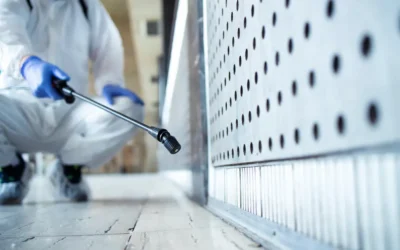 Dedetização de Baratinhas: As Pequenas Invasoras que Causam Grandes Problemas