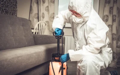 Dedetizadora BH: Como eu acabei com as baratas no meu apartamento