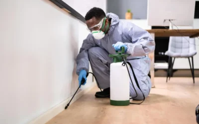 Dedetizadora BH: Especialistas em Tornar Seu Ambiente Livre de Baratas e Formigas