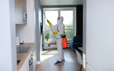 Preço da Dedetização em BH: Quanto Custa Proteger Sua Casa das Baratas em BH?