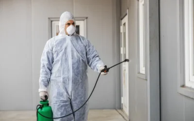Como a Dedetizadora em Belo Horizonte Pode Transformar Seu Lar em um Refúgio Seguro