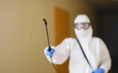 Dedetizadora em BH: soluções no controle de pragas para empresas e condomínios