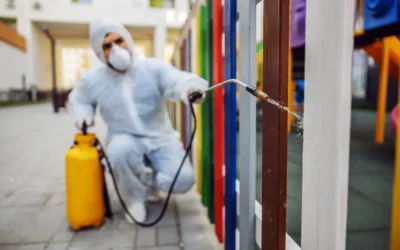Proteção contra cupins em Belo Horizonte: o impacto econômico da prevenção dessa praga