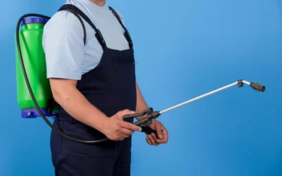 Dedetização BH: Práticas Sustentáveis para Proteger o Meio Ambiente da Capital Mineira