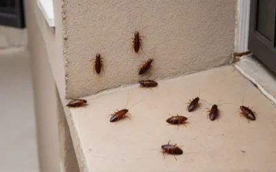 Dedetização BH: De Baratas a Escorpiões, as 5 Pragas Mais Temidas da Cidade