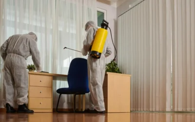 Dedetizadora em União: como escolher a melhor dedetização para acabar com pragas urbanas