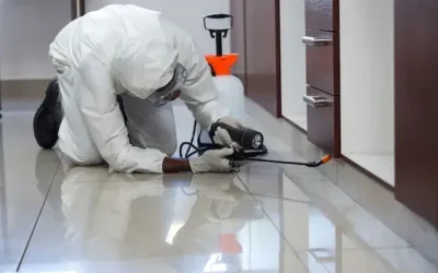 Dedetização em Bandeirantes: soluções em controle de pragas para proteger sua família e o meio ambiente