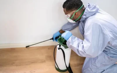 Dedetizadora em Floresta: cuidados essenciais em apartamentos e condomínios contra as baratas
