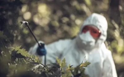 Tipos de Dedetização em BH: Qual o Método Ideal para Cada Tipo de Infestação?