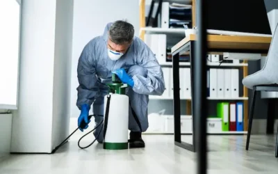 Dedetizadora em Belo Horizonte: Prevenção de Infestações em Apartamentos e Casas