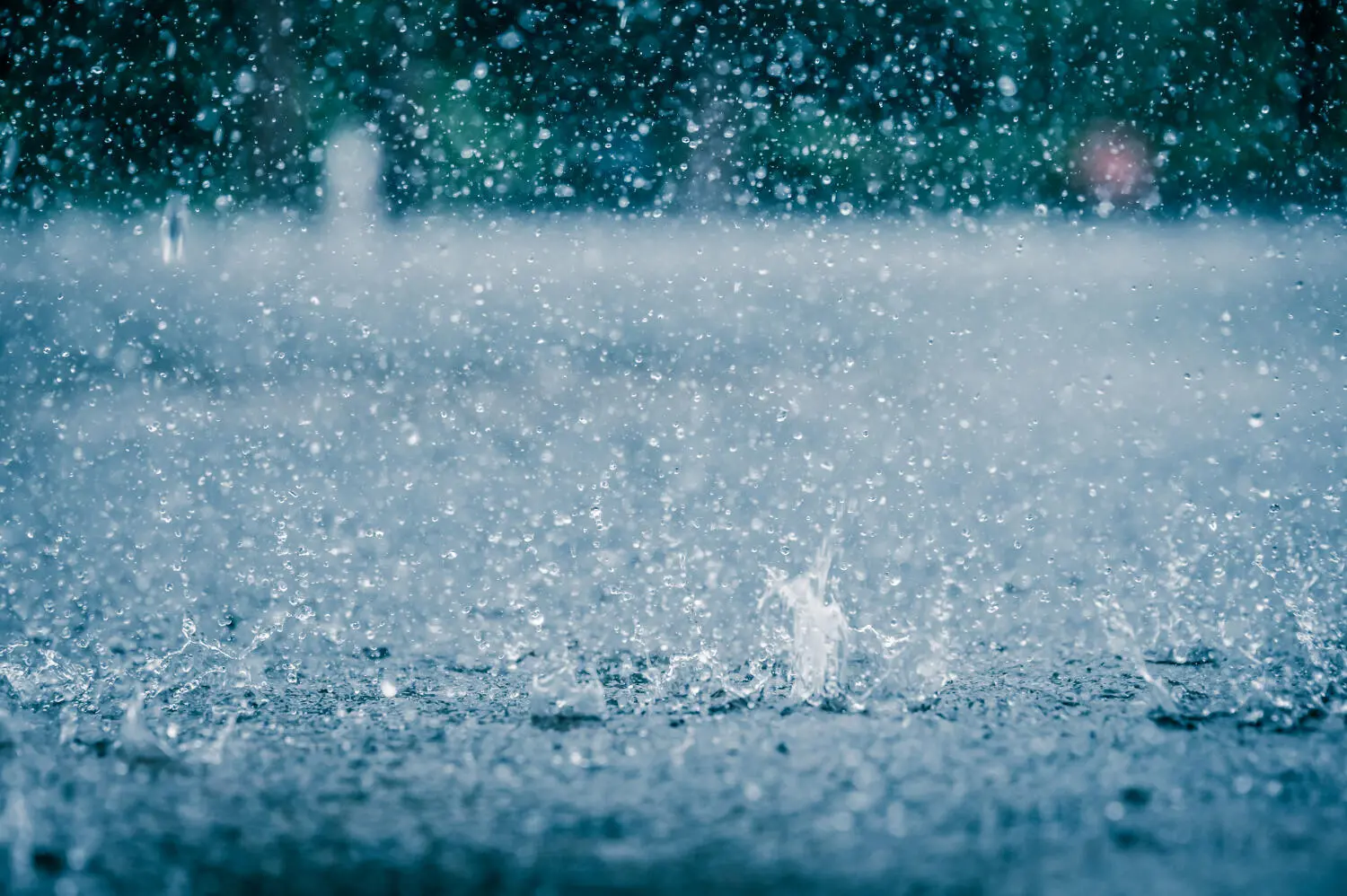 Dedetizadora em BH: Como Evitar Infestações baratas e formigas em Épocas de Chuva e Frio