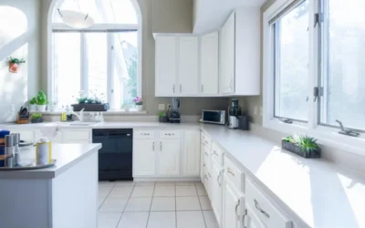 Baratas francesinhas: o desafio invisível nos apartamentos de Belo Horizonte