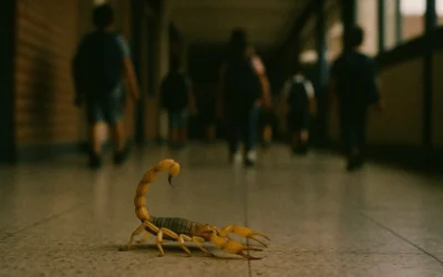 Dedetização BH e saúde coletiva: como o controle de pragas protege moradores e funcionários