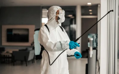 Dedetização em BH: é necessário sair de casa durante o serviço?