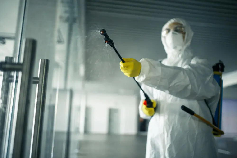 Dedetização em BH funciona mesmo? Quanto tempo dura o efeito do serviço?