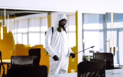 Dedetização em BH: quando é a melhor época do ano para fazer o controle de pragas?