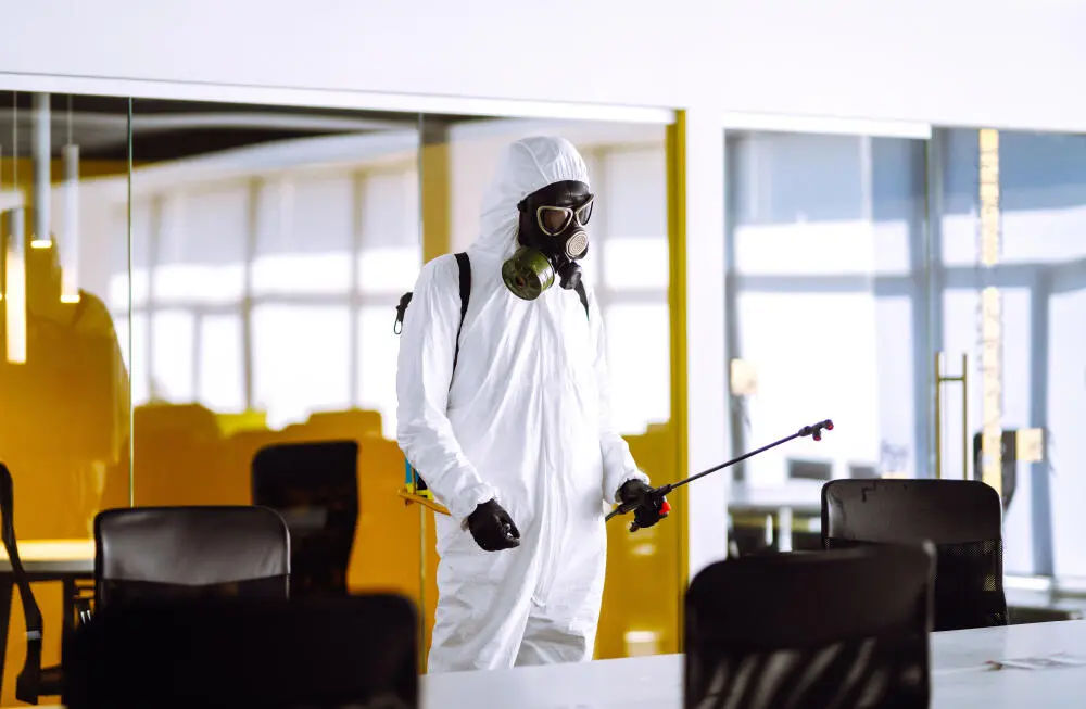 Dedetização em BH: quando é a melhor época do ano para fazer o controle de pragas?