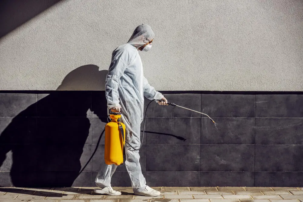 Dedetizadora em BH: como escolher uma empresa confiável e regularizada?