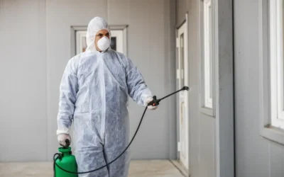 Dedetizadora em BH: quais pragas são mais comuns nas casas e condomínios de Belo Horizonte?