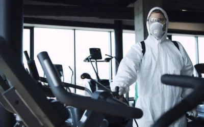 Dedetizadora em BH: quanto custa dedetizar um apartamento ou casa em Belo Horizonte?