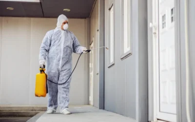 Dedetizadora em BH: quanto custa uma dedetização em Belo Horizonte em 2026?