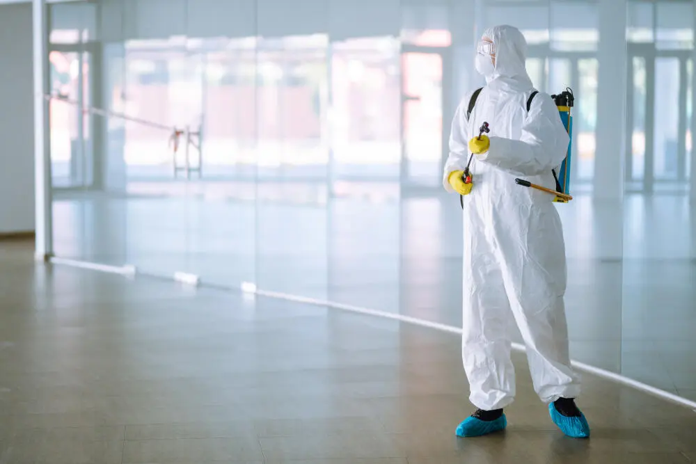 Dedetizadora BH: o que está incluso no serviço e o que pode ser cobrado à parte?