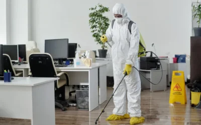 Dedetizadora BH: quando o uso de veneno não é suficiente para eliminar pragas?